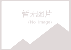 河池山柏服务有限公司